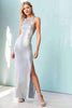 Stingray Metallic Maxi Dress
